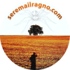 Seremailragno.com logo