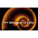 Shapeoflife.org logo