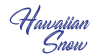 Shaveicesupplies.com logo