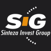 Sinteza.net logo