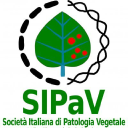 Sipav.org logo