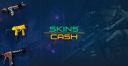 Skins.cash logo