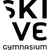 Skivegym.dk logo