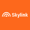 Skylink.ru logo