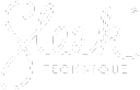 Sleektechnique.com logo