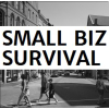 Smallbizsurvival.com logo