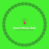 Smartmoneygoal.in logo