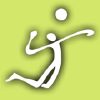 Smashvolleyball.com logo