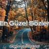 Sozlervereplikler.com logo