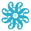 Spiderworking.com logo