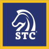 Stcinteractive.com logo