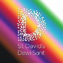 Stdavidscardiff.com logo