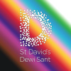 Stdavidscardiff.com logo