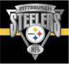 Steelerfury.com logo