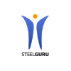 Steelguru.com logo