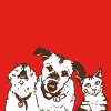 Stellaandchewys.com logo