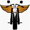 Stoneheadbikes.com logo