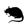 Strayrats.com logo