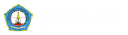 Sttnas.ac.id logo