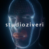 Studioziveri.it logo