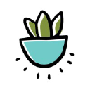 Succulentsandsunshine.com logo