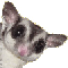 Sugarglider.com logo