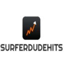 Surferdudehits.com logo