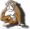 Survivalmonkey.com logo