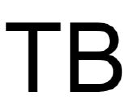 Tbfashionvictim.com logo