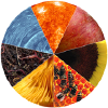 Tcpermaculture.com logo