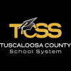 Tcss.net logo