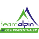 Teamalpin.com logo