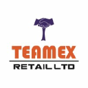 Teamex.in logo