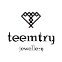 Teemtry.com logo