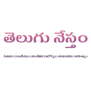 Telugunestam.com logo