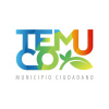 Temuco.cl logo