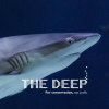 Thedeep.co.uk logo