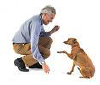 Thedogtrainingsecret.com logo