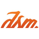 Thedsmgroup.com logo