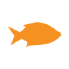 Thehealthyfish.com logo