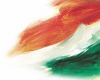 Theindianvoice.com logo