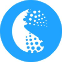 Themepiko.com logo