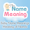 Thenamemeaning.com logo