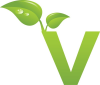 Theveglife.com logo