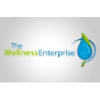 Thewellnessenterprise.com logo