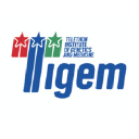 Tigem.it logo