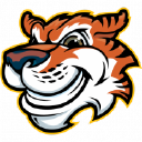 Tigermedia.ca logo