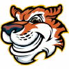 Tigermedia.ca logo