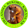 Tiklanmarekorukiranlar.com logo