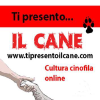 Tipresentoilcane.com logo